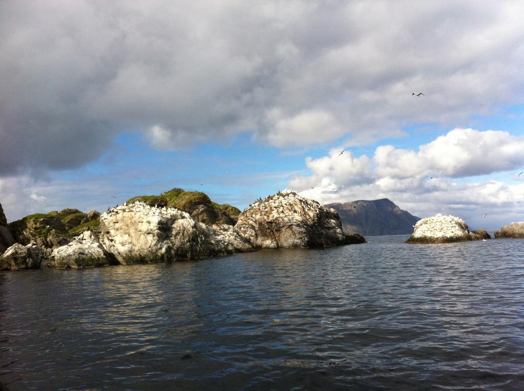 Buodden Rorbuer - Fisherman Cabins Sørvågen Zewnętrze zdjęcie